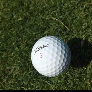 Meet your Posher, Reece